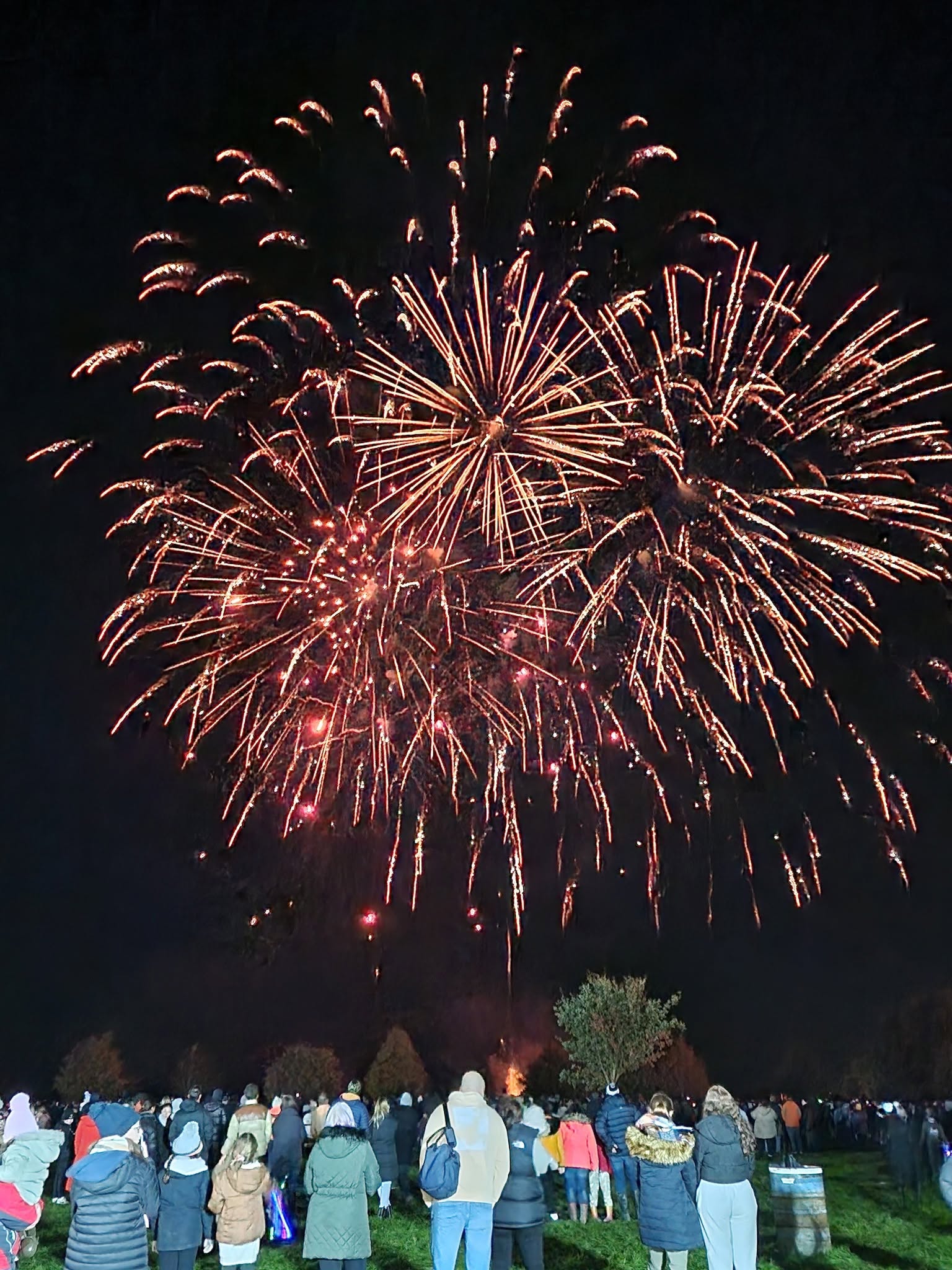Lydiard Fireworks Spectacular in Swindon