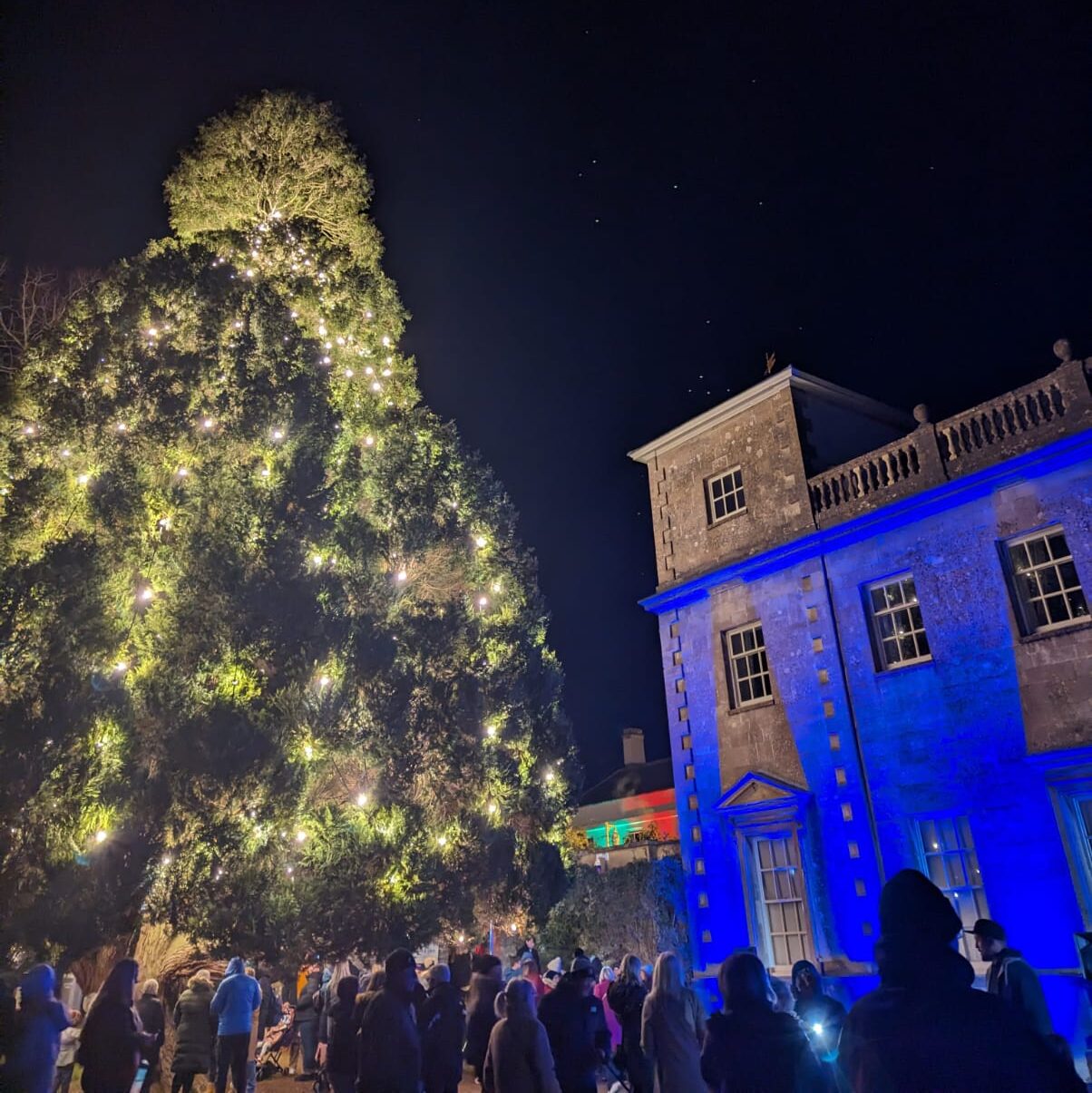 Lydiard Park Christmas Lights Switch On