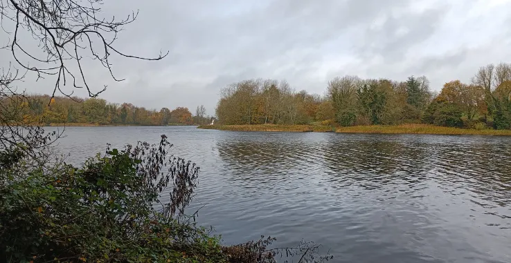 Coate Water Park Swindon lake and surrounding flora